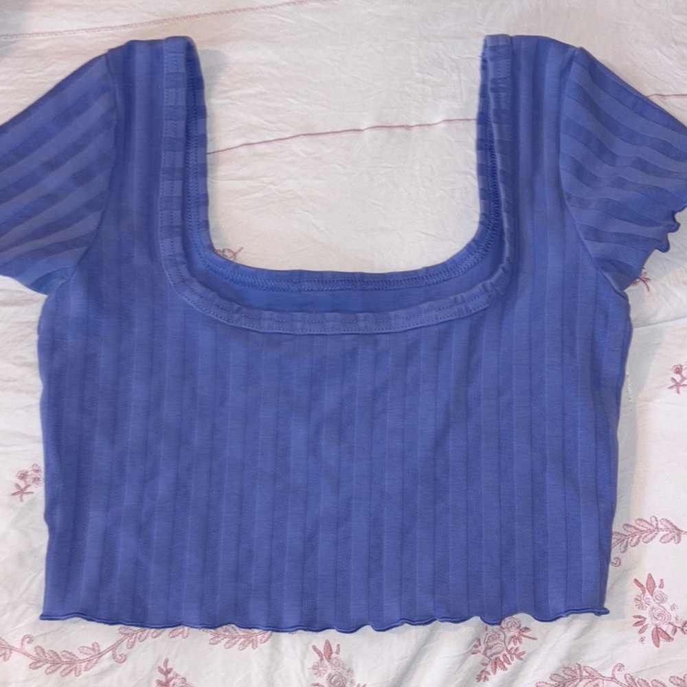 Aerie Blue Striped Crop Top